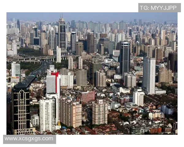 上海篮球队转型之路的真实记录与发展历程探讨 上海篮球队转型之路的真实记录与发展历程探讨