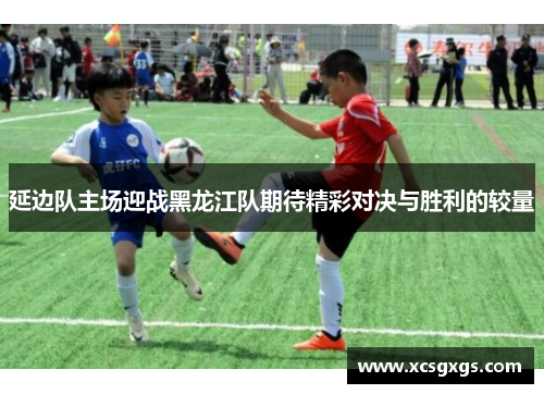 延边队主场迎战黑龙江队期待精彩对决与胜利的较量